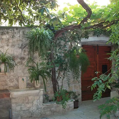 Ivica 3* טרוגיר